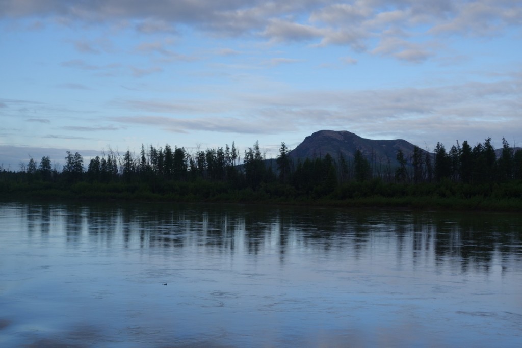 DSC00995