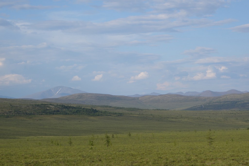 DSC01419